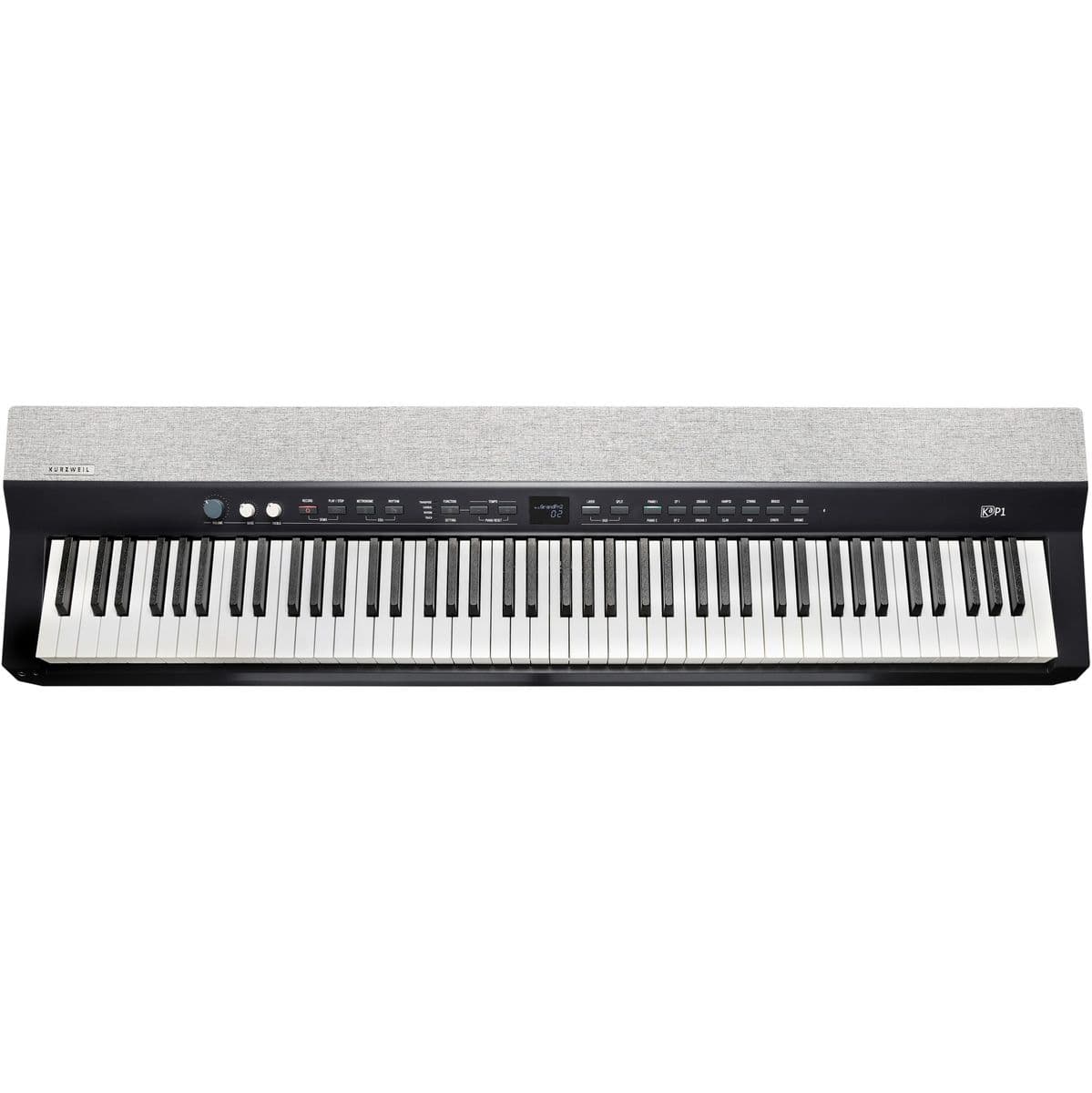 KAP1-LB — Kurzweil